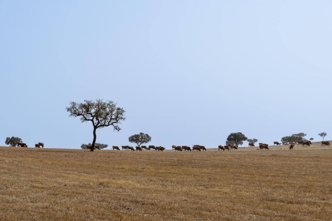 Change The World - Herdade Monte Do Peral Montes Juntos Exterior photo
