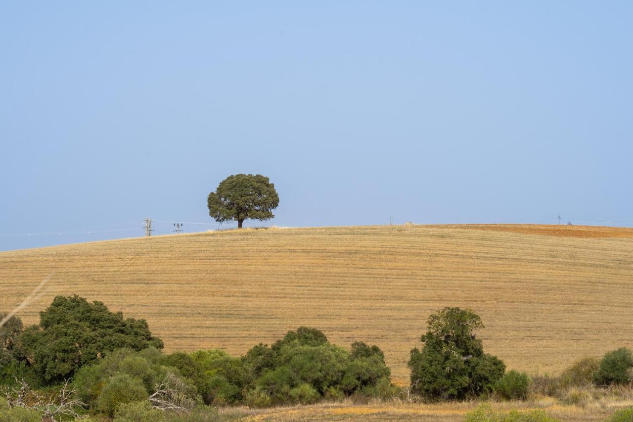 Change The World - Herdade Monte Do Peral Montes Juntos Exterior photo