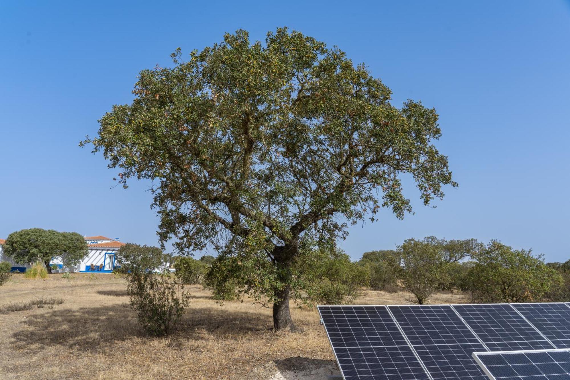 Change The World - Herdade Monte Do Peral Montes Juntos Exterior photo